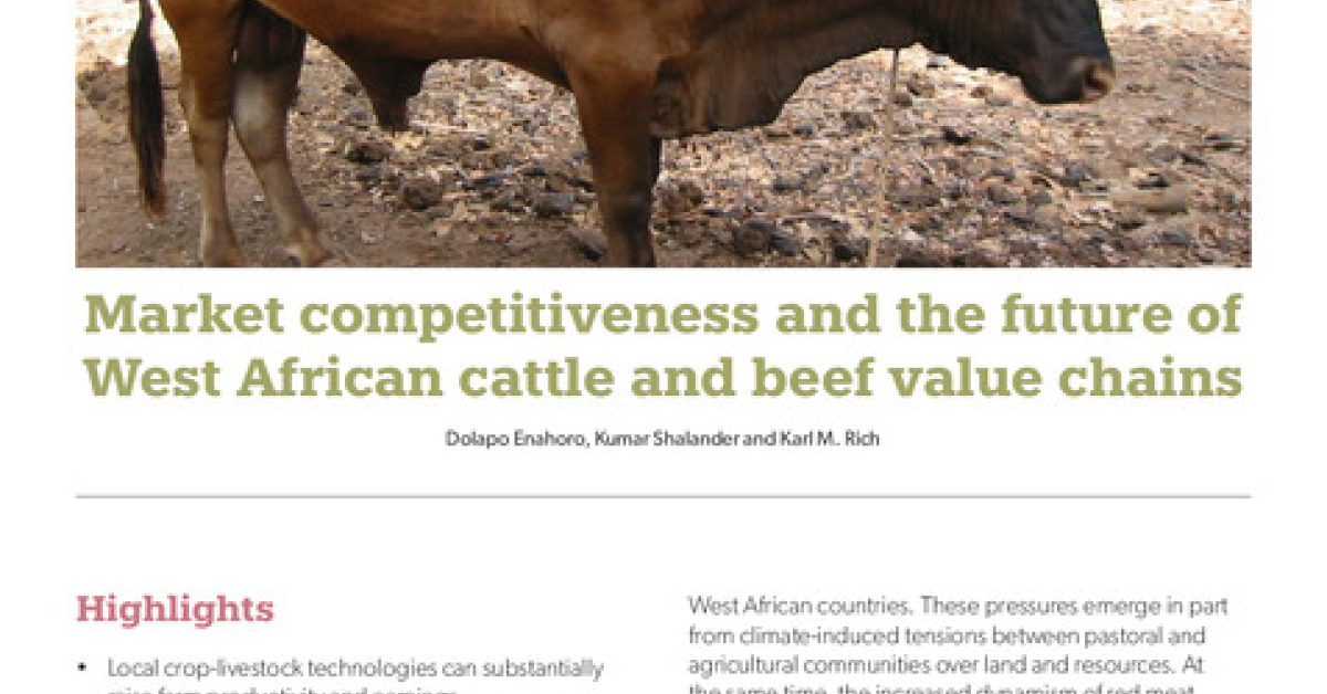Market competitiveness and the future of West African cattle and beef ...