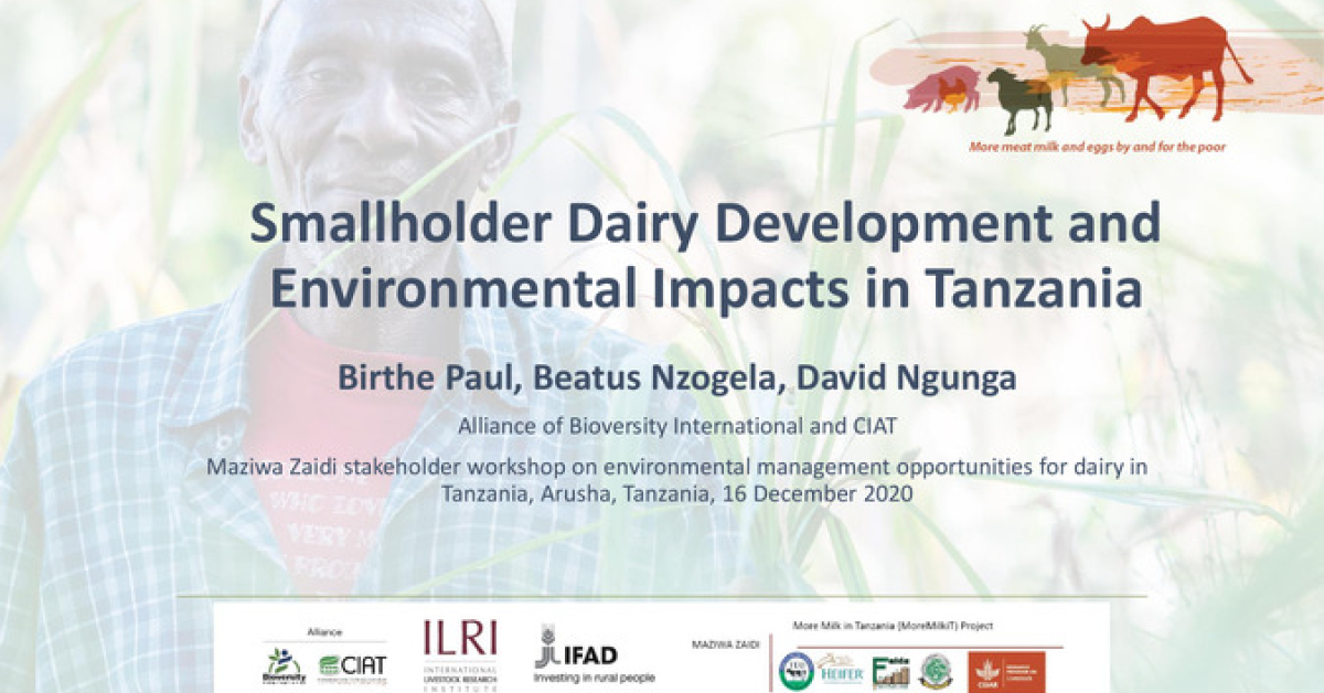 Smallholder Dairy Development and Environmental Impacts in Tanzania